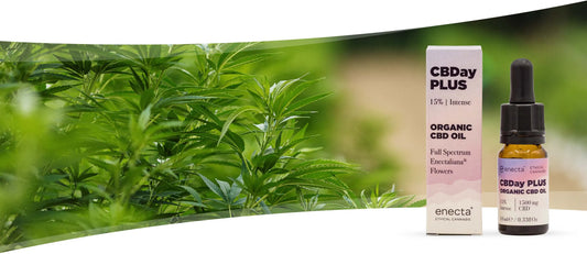 CBD e ciclo menstrual
