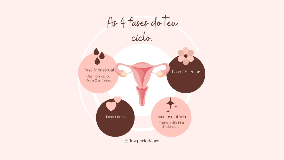 O ciclo menstrual e as suas fases